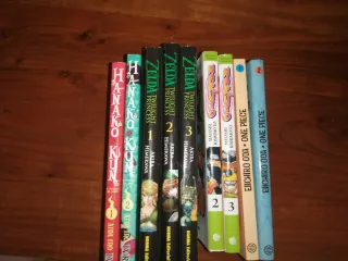 Lote de Mangas