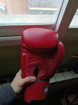 Guantes Boxeo Twins 14 oz Muay Thai Burdeos