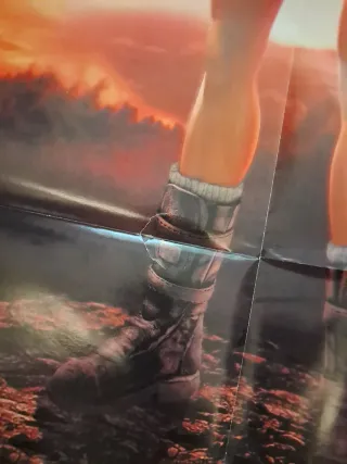 Póster Tomb Raider Legend Grande