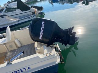 Mercury 80hp EFI fueraborda