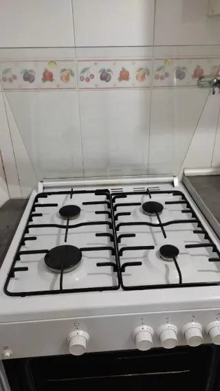 Cocina de gas con horno y 4 fogones