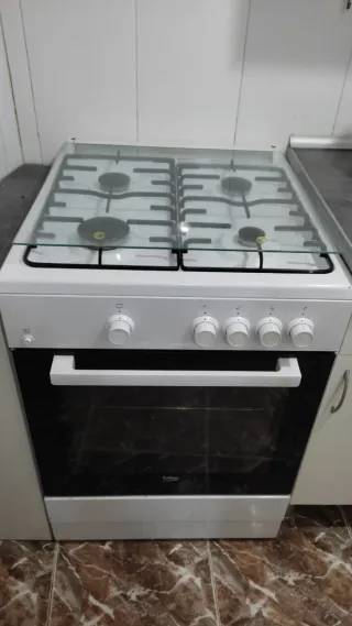 Cocina de gas con horno y 4 fogones