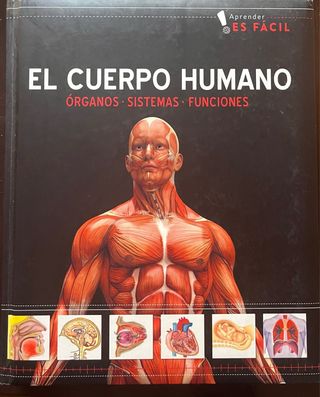 La Tierra, El Cuerpo Humano y El Universo