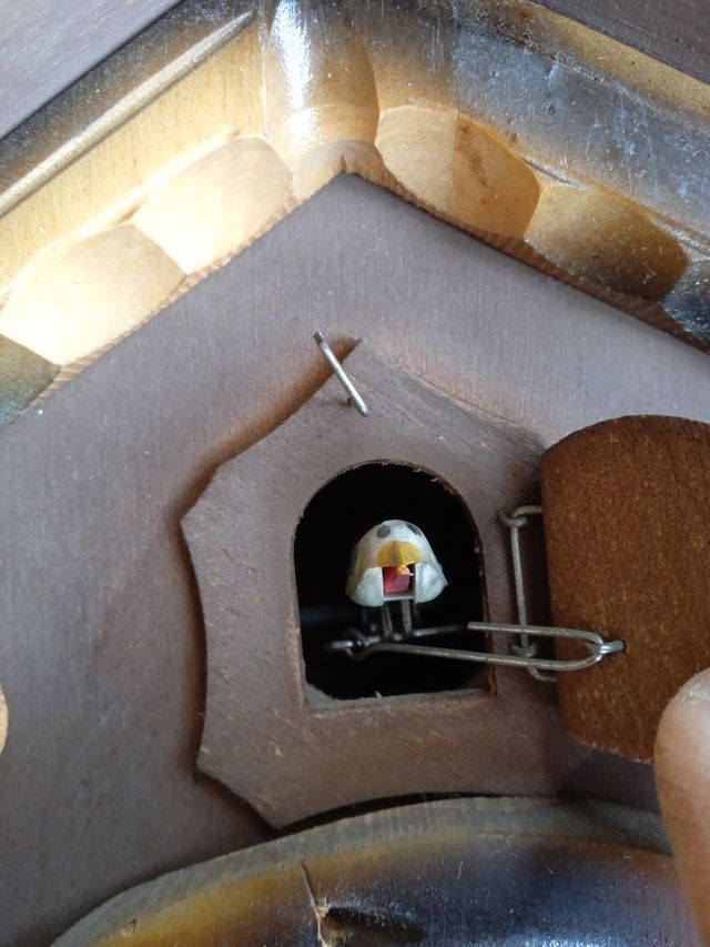 Reloj Cuco Alemán Antiguo Cuerda