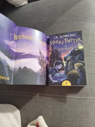 Harry Potter y la piedra filosofal (Harry Potte...