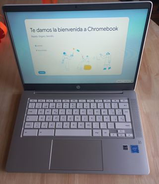 HP Chromebook Octopus Gris/Plata