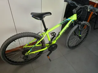 Bici Rockrider 24