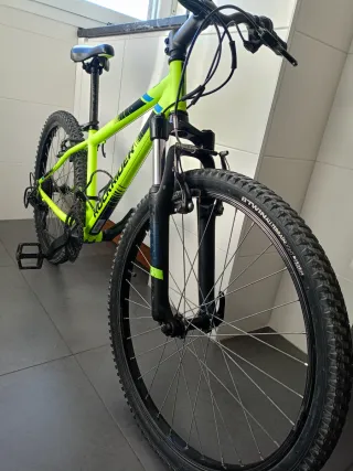 Bici Rockrider 24
