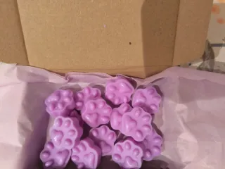 Waxmelt personalizados.