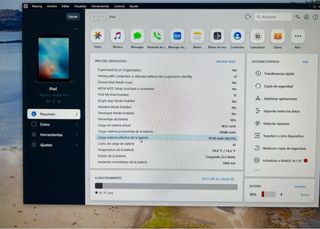 iPad Pro 12.9 di prima generazione da 128 GB Wi-Fi + cellulare