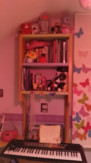 Cama nido con cajonera y escritorio con estanteria