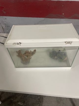 Acuario Percera de 15 litros