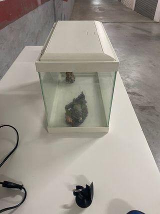Acuario Percera de 15 litros