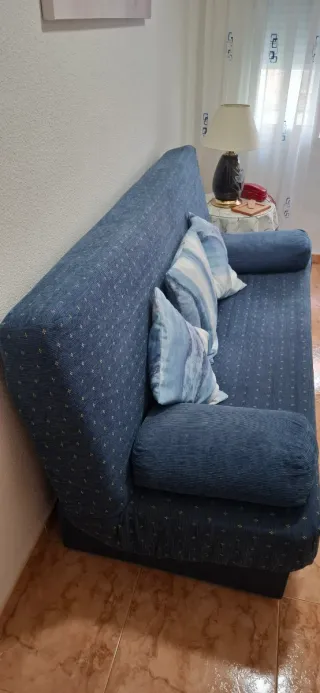 Sofá cama y sillon de Relax.