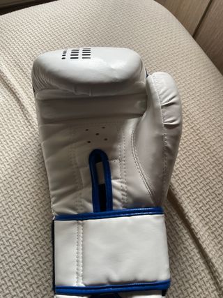 Guantes de Boxeo CAPTRONIC Azul y Blanco