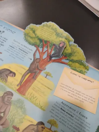 Come è nata la Terra e cosa è successo dopo! Li...