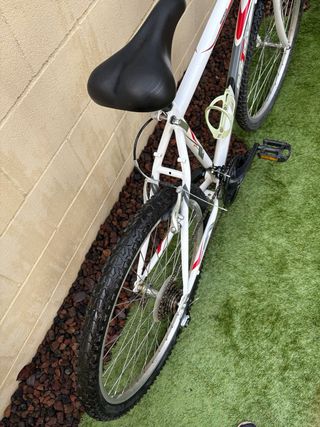 Bicicleta MB 26'' Adulto Gotty