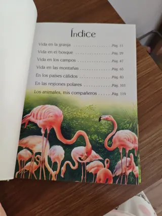 Historia de animales