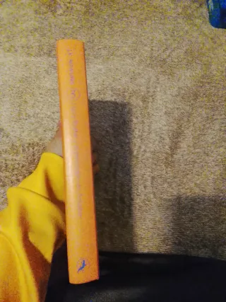 Harry Potter y el prisionero de Azkaban (Harry ...