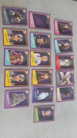 16 Carte Collezionabili Harry Potter