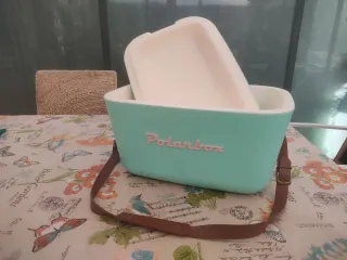 Nevera Polarbox 20L.