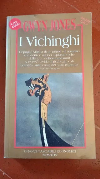 I vichinghi
