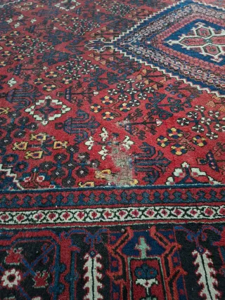 Alfombra persa diseño intrincado