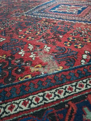 Alfombra persa diseño intrincado