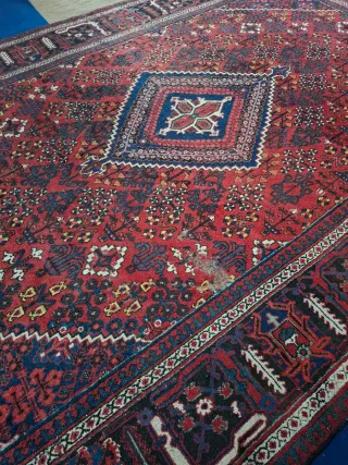 Alfombra persa diseño intrincado