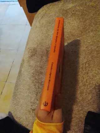 Andanzas de Don Quijote y Sancho (Spanish Edition)