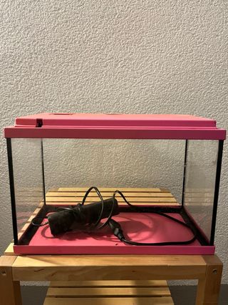 Pecera rosa con filtro