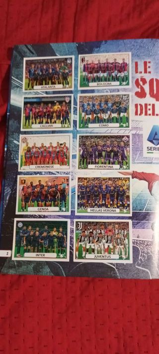 Album Panini 2026 (38 mancanti)+100 codici+3 latte