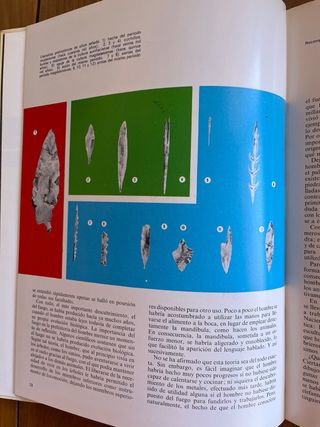 Maravillas del Saber Consultor didáctico 10 tomos