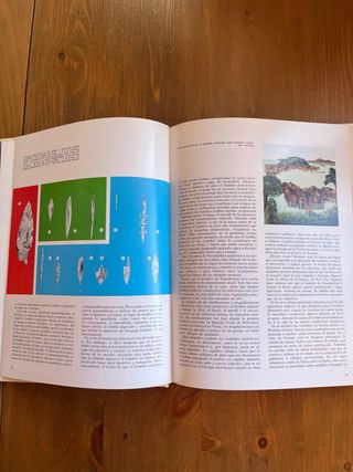 Maravillas del Saber Consultor didáctico 10 tomos