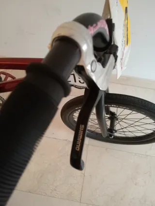 Bicicleta BMX Racing PRO