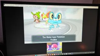 Nintendo 3DS XL Blanca con Capturadora USB