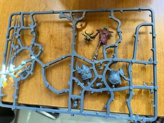 moscas Nurgle warhammer age of sigmar nurgle