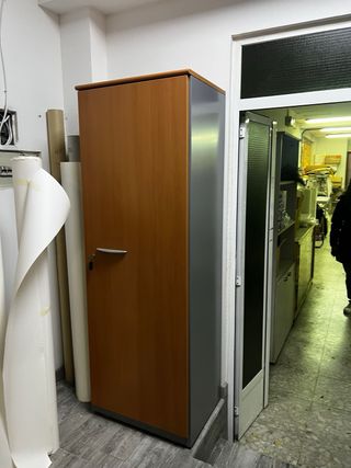 2 Armarios Metálicos Grises Con marco en madera