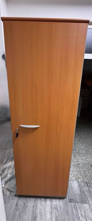 2 Armarios Metálicos Grises Con marco en madera