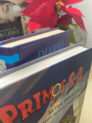 El diario de greg 13 / Primos S.A