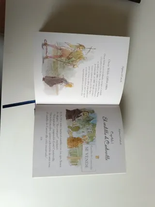 CLASICOS ILUSTRADOS PARA NIÑOS