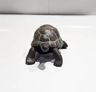 Tortuga Papo