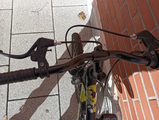 Bicicleta Denbike 20 con suspensión