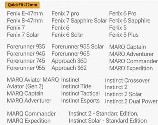 Correa Titanio 22mm para Garmin Fenix 8/7/6/5