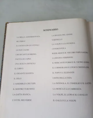 libro per bambini "Il regno delle fate" Illustrato