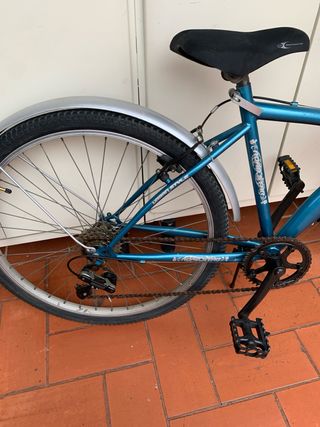 Bicicleta Paseo Road Star Azul