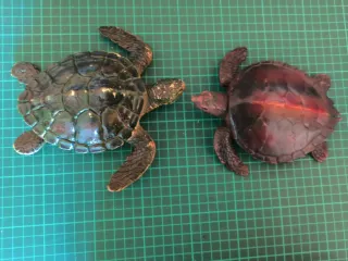 2 Tartarughe Giocattolo