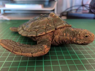 2 Tartarughe Giocattolo