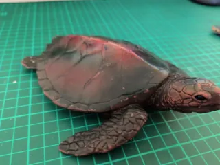 2 Tartarughe Giocattolo