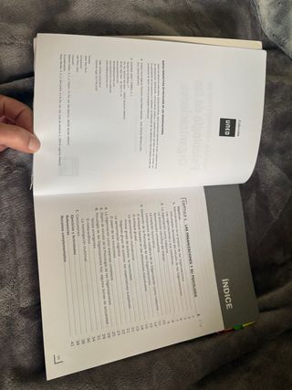 Nuevas Perspectivas en Psicología de las Organi...